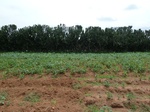 18859P1000700.JPG
