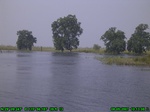 1474R0015186_tag.jpg