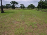 33467RIMG0207.JPG