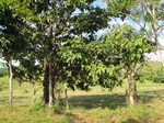 31972IMG_5620.JPG