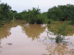 1188937-wetlands-seasonal-closelook.jpg