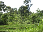 13796IMG_4059.JPG