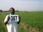 76800387b-irrigated-supplemental-lift-irrigation-rice.jpg