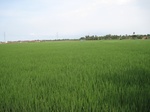 15646IMG_4718.JPG