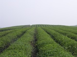 502R0015048.jpg