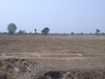 27739RIMG0017.JPG
