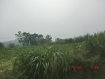 33057CIMG2291.JPG