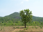 17415100_2101.JPG