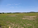 30109CIMG0191.JPG