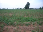 34551RIMG0016.JPG