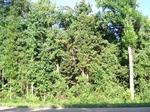 32542p194.jpg