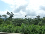 25730P1020148.JPG