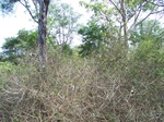 1794927042008(80).JPG