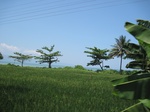15435IMG_4309.JPG