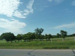 21481P1010305.JPG
