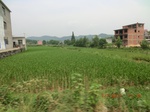 53929CIMG3683.JPG