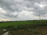 56039CIMG6728.JPG