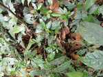 43696DSC02193.JPG