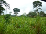 20547P1020404.JPG