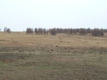 22805P1020034.JPG