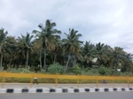 55799CIMG6418.JPG