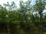 21045P1020916.JPG