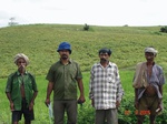 72620261c-rainfed-agriculture-blackgram-dominant-maize.jpg