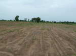 18743P1000581.JPG