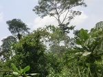 49394CIMG5731.JPG