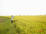 6542gt050-cropland-1.jpg