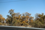 2022-11-02_16-02-43_9F4AB121-7F3C-4503-83AE-A0A07A6C475C.jpeg