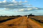 28548P1010562-1.JPG