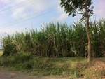 31323CIMG1185.JPG