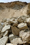 28647P1010664-1.JPG