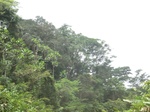 48901CIMG5238.JPG