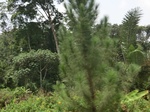 49310CIMG5647.JPG