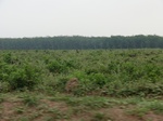 44553CIMG1738.JPG