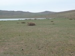 23134P1020652.JPG