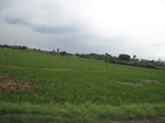 14374IMG_4716.JPG