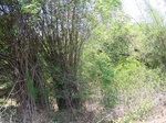 1792027042008(52).JPG