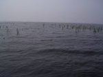 1491R0015195_small.jpg