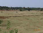 51956Tank ID 1800284 Singrihalli.JPG