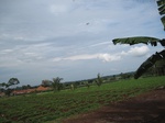 14575IMG_4941.JPG