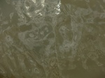 58616CIMG3066.JPG