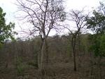 1684902052008(11).JPG