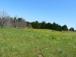 21636P1010462.JPG