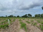 18646P1000484.JPG