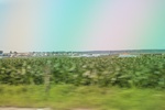 2024-08-05_14-21-44_599EE64E-1BD2-47C5-9B07-1570D4D62BAC.jpeg