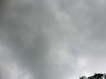 45560CIMG2645.JPG