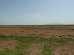 19231P1010077.JPG